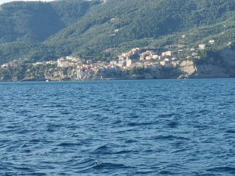 5 TERRE PRIVATE BOAT TOUR WITH SKIPPER - Frequently Asked Questions