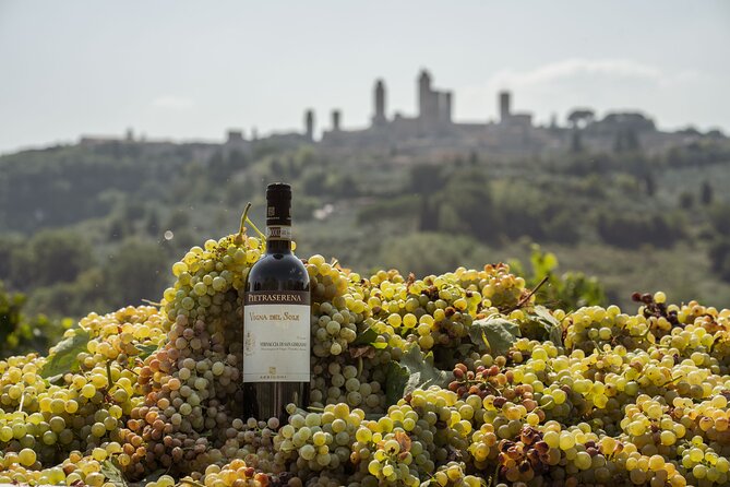 5 Wine Tastings in San Gimignano - Planning Your San Gimignano Wine Tour