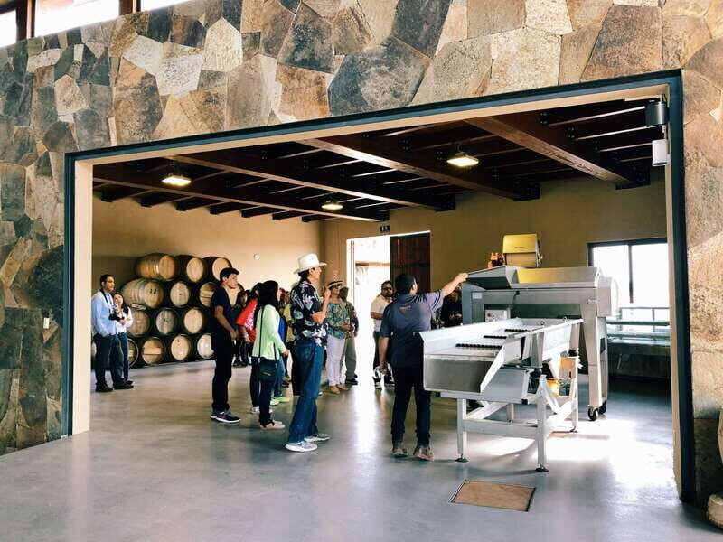 5 wines Tastings with Tour in Valle de Guadalupe Winery - Key Points