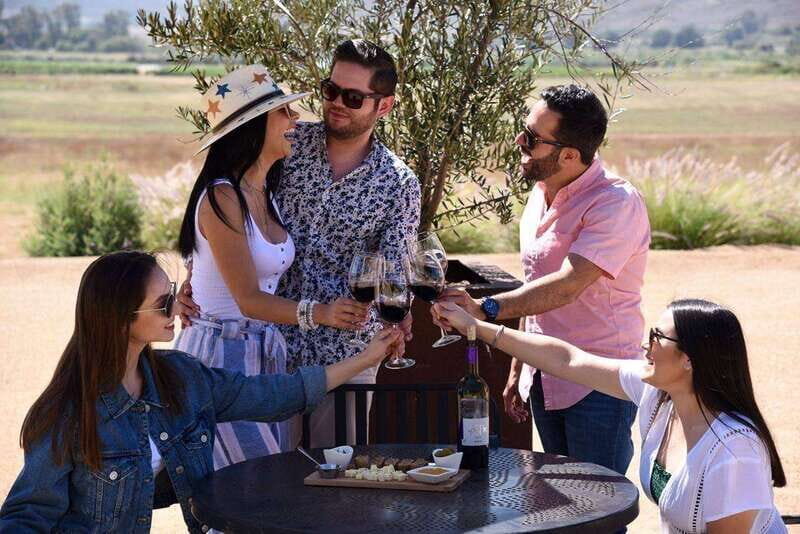 5 wines Tastings with Tour in Valle de Guadalupe Winery - A Closer Look at the Tour Experience