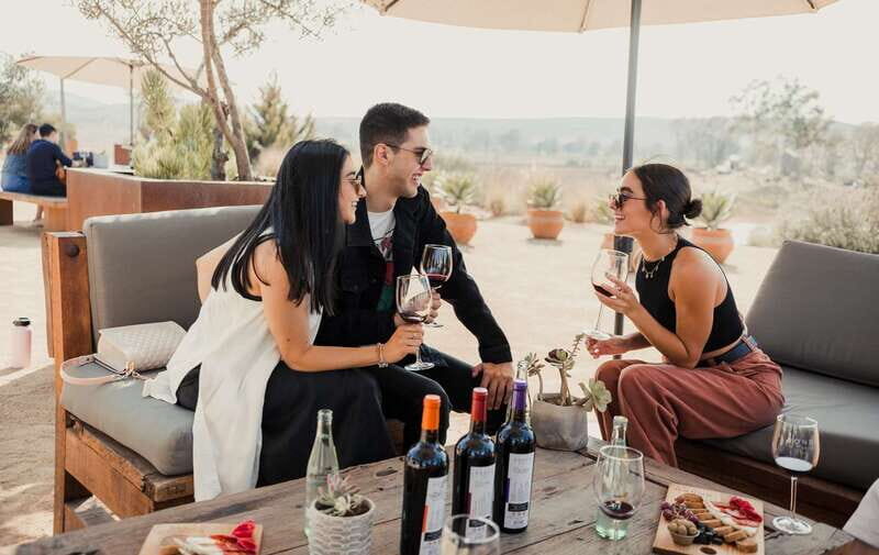 5 wines Tastings with Tour in Valle de Guadalupe Winery - Practical Details for Visitors