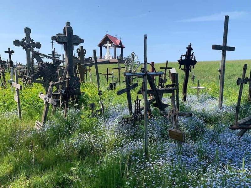 5,5 Hour Shared Tour to Hill of Crosses from Riga - Transportation and Group Dynamics