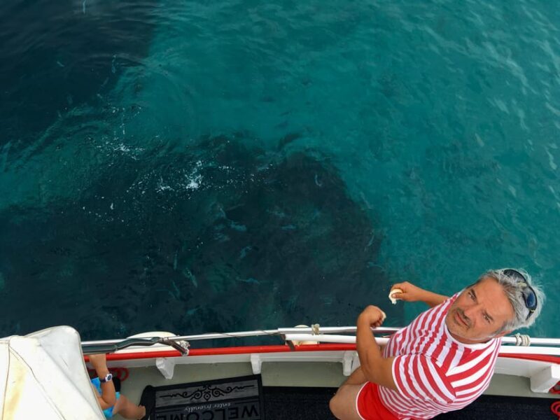 5,5h Plavnik Island: Swim & Snorkel with Capt. Bobo(Private) - FAQ