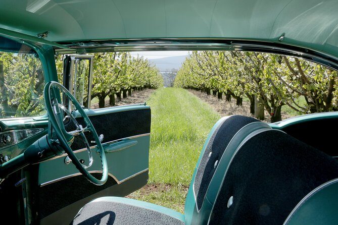 '56 Chevrolet 6-hr Yarra Valley Classic Car Private Tour (4 ppl) - The Journey Through the Yarra Valley in Style