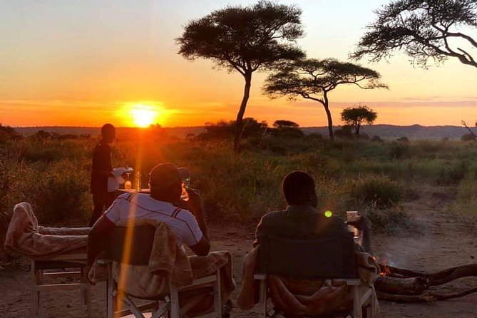 5days Tarangire,Serengeti,Ngorongoro Crater and Lake Manyara National Park - Accommodation and Meals
