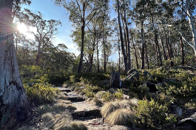 5G Australia eSIM - Up to 50GB or Unlimited Data; No Roaming Fees - Navigating the Details of the Tour