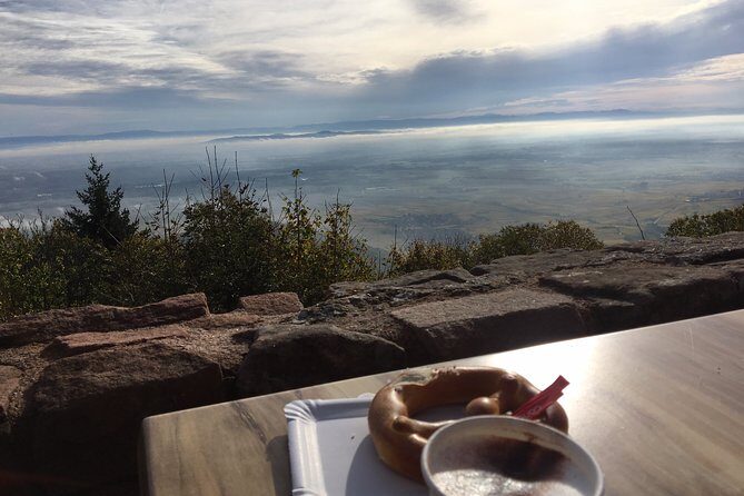 5H00 ALSACE PRIVATE TOUR-Castle, Villages, Wine, Friendly Driver - Who Is This Tour Best For?