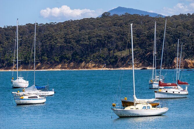 5hr Eden Tour in Nature; Beach, Lookout & National Park - Who Will Love This Tour?