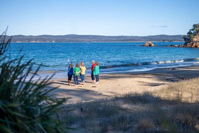 5hr Eden Tour in Nature; Beach, Lookout & National Park - Frequently Asked Questions (FAQs)