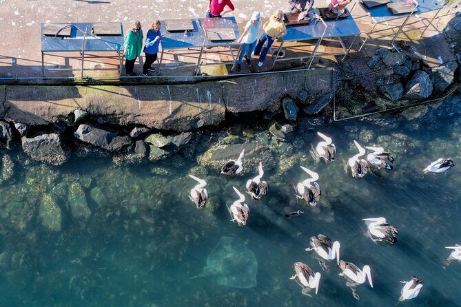 5hr Eden Tour in Nature; Beach, Lookout & National Park - Final Thoughts