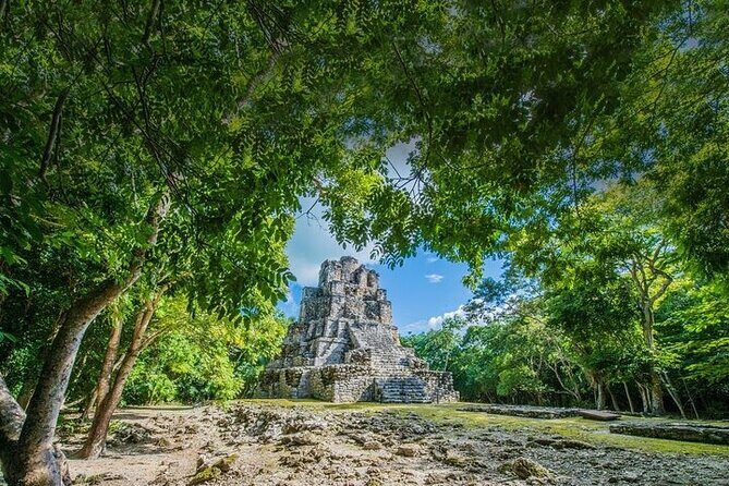 5x1 Deluxe Tour Tulum, Coba, Cenote Transportation from Tulum - Who Should Consider This Tour?