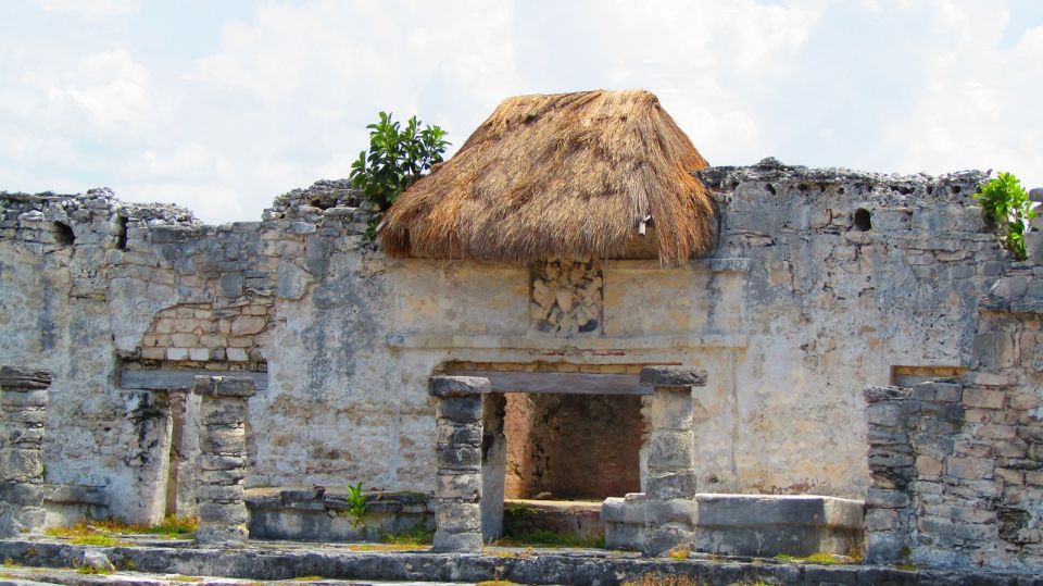 5x1 Deluxe: Tulum, Coba, Cenote & Playa Del Carmen - Swimming in Kuxtal Cenote