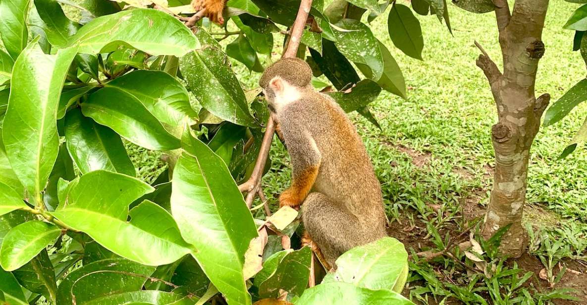 6-Day All Inclusive Pacaya Samiria Reserve From Iquitos - Itinerary Overview