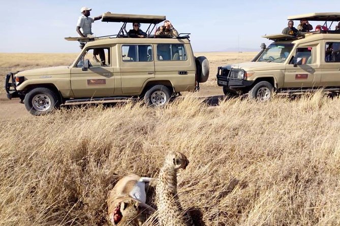 6-Day Budget Lodge Safari in Tanzania - Your Safari Experience