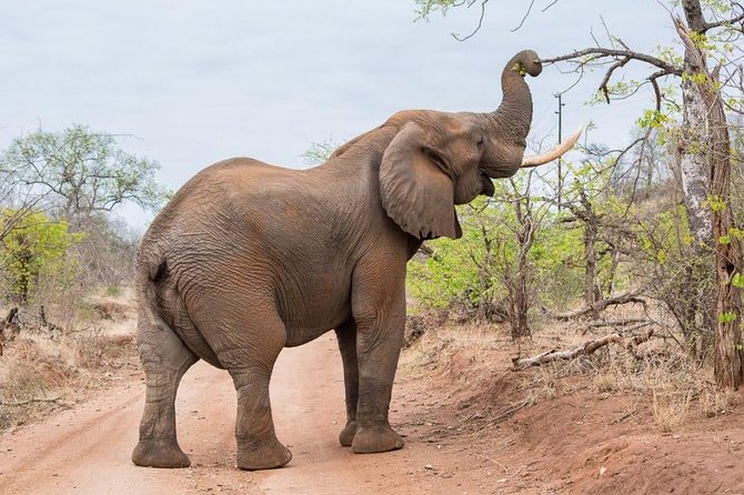 6-Day Budget Lodge Safari in Tanzania - Frequently Asked Questions