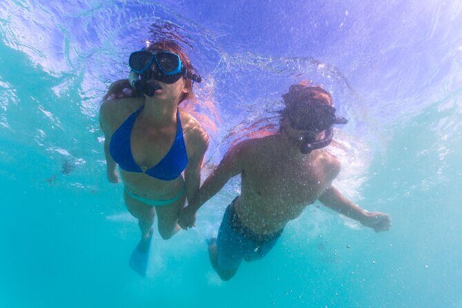 6-Day Coral Coaster from Perth to Exmouth One-Way via Monkey Mia Ningaloo Reef - Final Thoughts