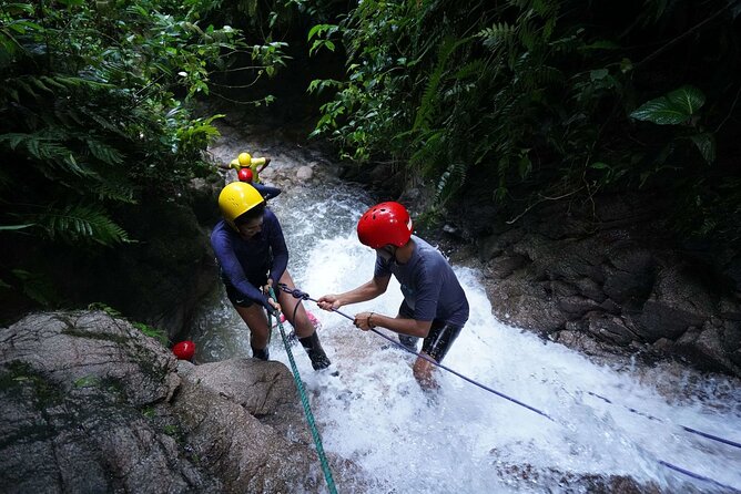 6-Day Ecuador Multisport Package in Cotopaxi, Amazon and Andes Mountains - Traveler Feedback and Testimonials