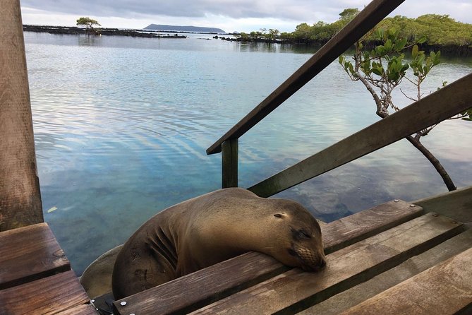 6-Day Galapagos Island Hopping: Kayaking, Mountain Biking and Volcano Hike - Experiencing Local Island Culture