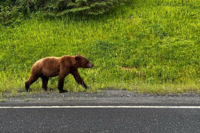 6 Day Grand Alaska Highlights Tour - FAQ