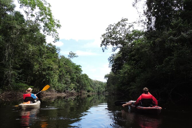 6-Day Guided Kayak Expedition in the Amazon - What to Expect on the Expedition