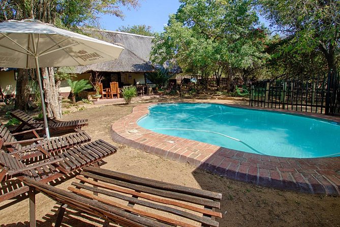 6 Day Lodge and Treehouse Kruger National Park Safari - Customer Experiences and Reviews