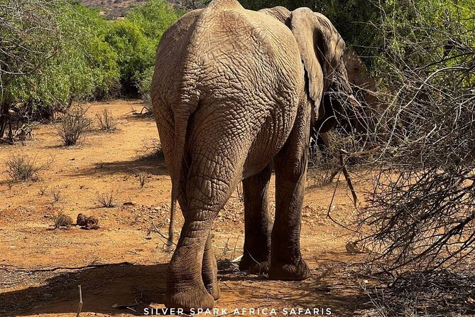6-Day Maasai Mara Reserve, Lake Naivasha, Amboseli National Park - Discover Lake Naivasha
