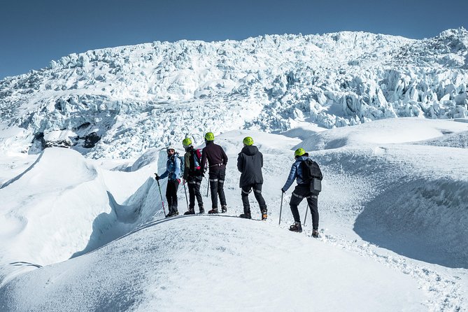 6-Day Minibus Tour Around Iceland From Reykjavik - Whale-Watching Tour