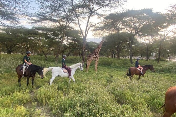 6 Day Nairobi-Amboseli-Maasai Mara Private Semi Luxury Tour - Tour Highlights