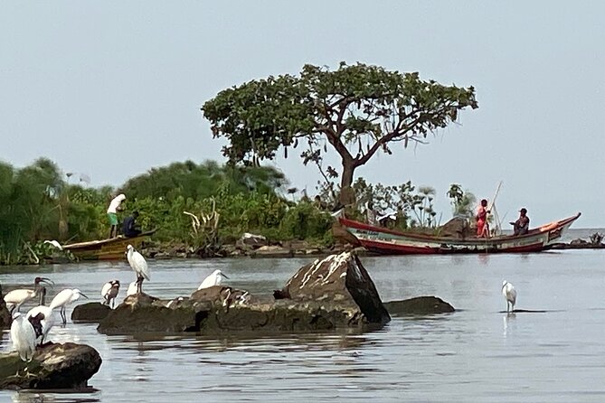 6 Day Nairobi-Amboseli-Maasai Mara Private Semi Luxury Tour - Nairobi Arrival