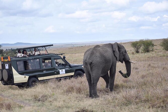 6 Day Nairobi-Amboseli-Maasai Mara Private Semi Luxury Tour - Included Accommodations