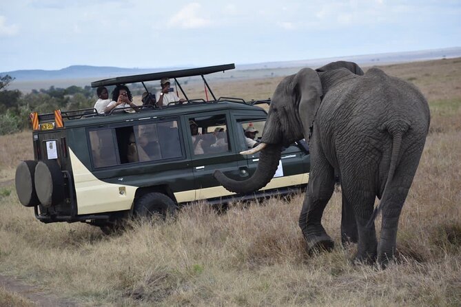 6 Day Nairobi-Amboseli-Maasai Mara Private Semi Luxury Tour - Meals and Dining