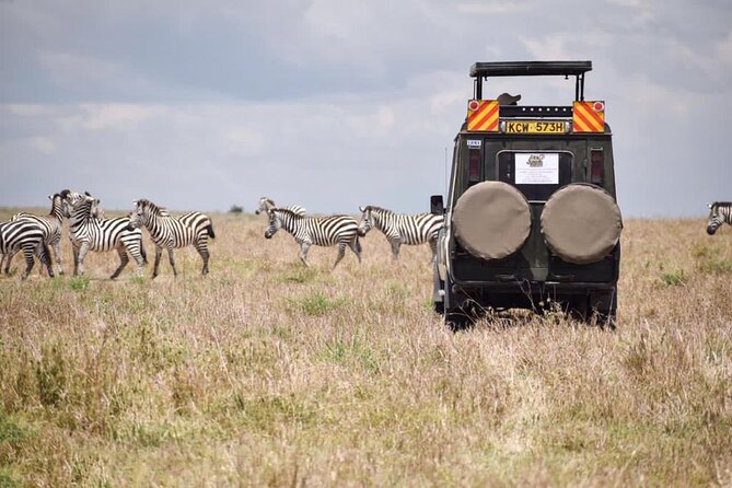 6 Day Nairobi-Amboseli-Maasai Mara Private Semi Luxury Tour - Practical Information