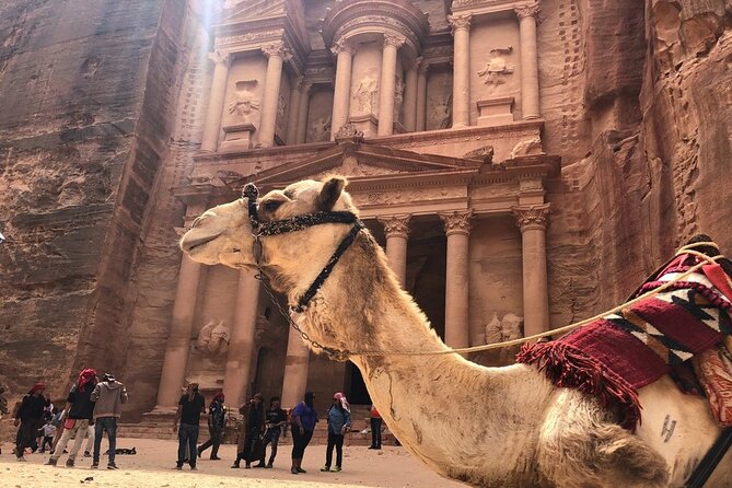 6-Day Private Tour, Explore Jordan - Customer Reviews and Feedback