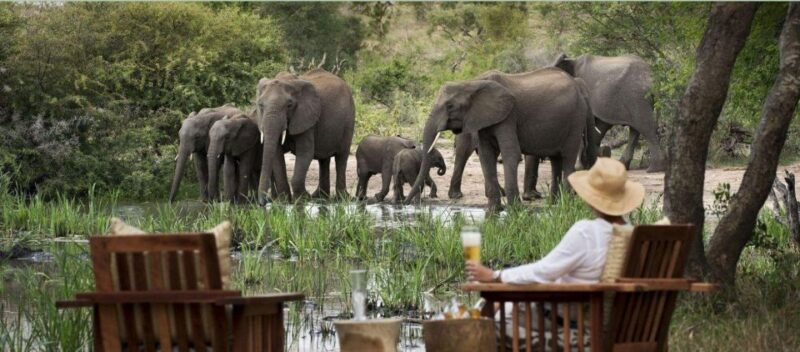 6 Day Small Group Garden Route Tour From Cape Town - Accommodation and Meals