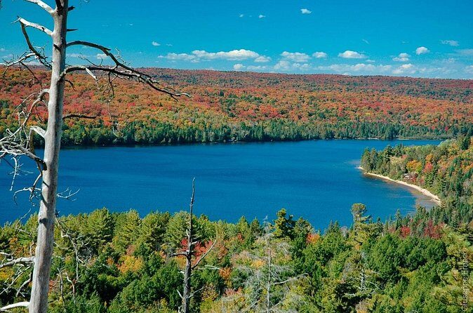 6-Day Small Group Tour:Toronto,Montreal,Niagara&Ontario Lakes - Authentic Experiences and Genuine Highlights