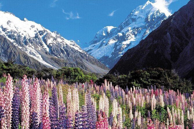 6-Day South Island Southern Heritage Tour from Christchurch - Starting in Christchurch and Heading South