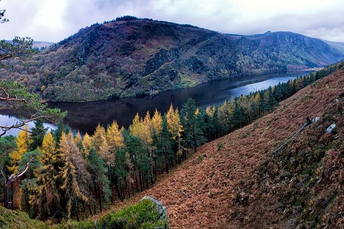 6-Day South of Ireland Tour From Dublin - Accessibility and Policies