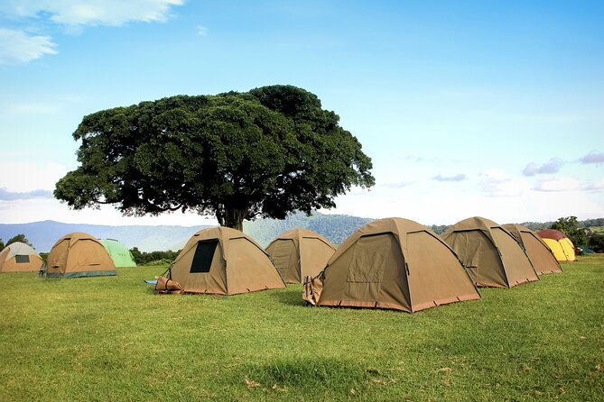 6 Day Tanzania Budget Camping Safari From Arusha. - Key Points
