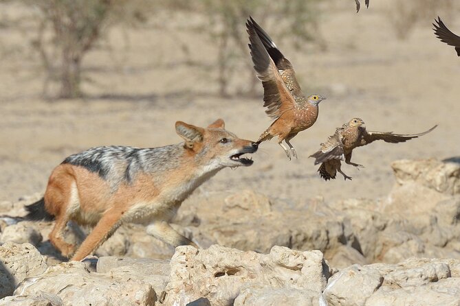 6 Day Tanzania Budget Camping Safari From Arusha. - Meals and Dining