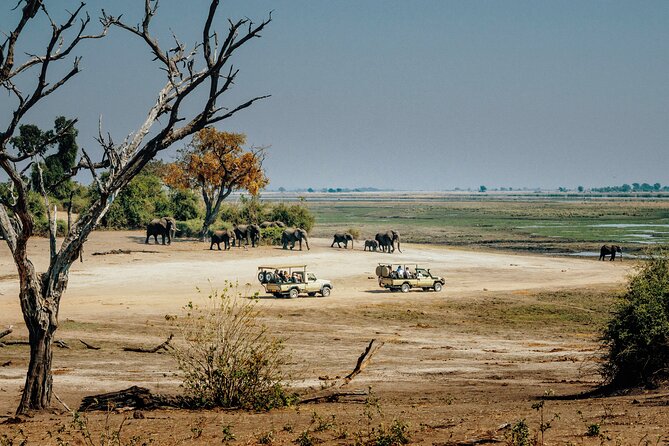 6 Day Tanzania Budget Camping Safari From Arusha. - Transportation and Logistics