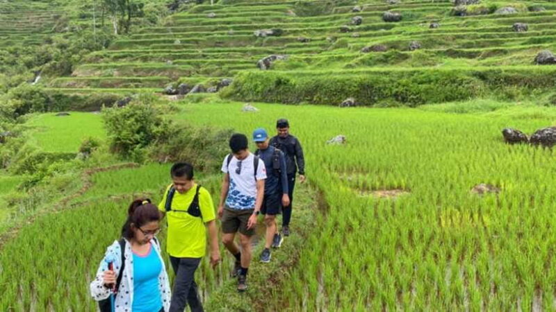 6-Day Toraja Experience Tour with Local Stay from Makassar - Who Will Love This Tour?