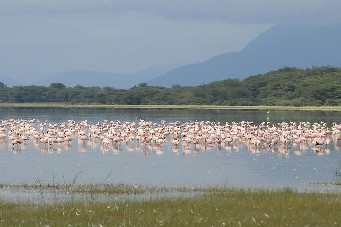 6 Days 5 Nights Safari Ngorongoro, Serengeti and Tarangire National Parks - Daily Itinerary