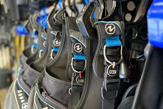 6 days Air/Nitrox package - Introduction: Is This the Dive Package for You?