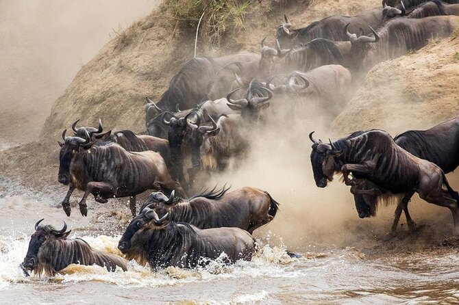 6 Days Best Adventure Kilimanjaro ,Tarangire ,Serengeti &Ngorongoro Crater - Unique Experiences and Activities