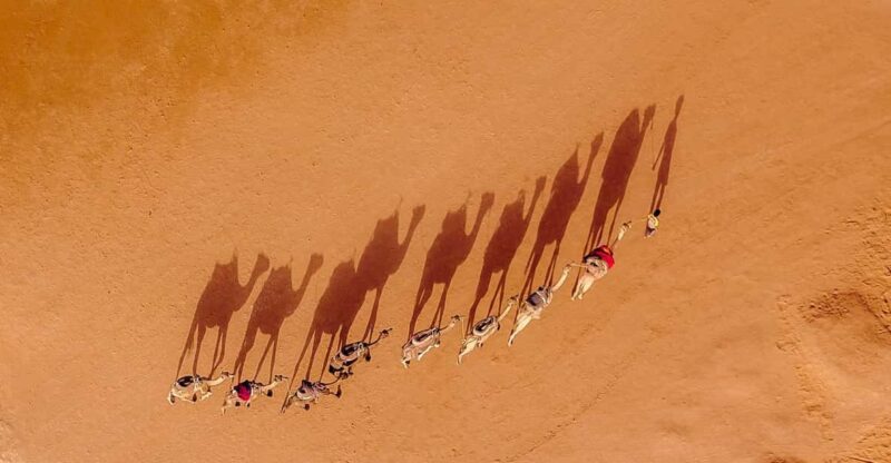 6-Days Casablanca to Marrakesh via Desert, Fez & Chefchaouen - Casablanca Arrival and Sights