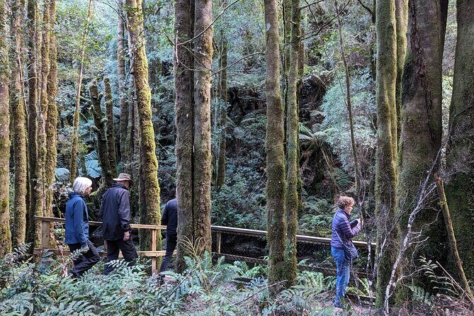 6-Days Discovery Tour of Tasmania - Comfort Style - Who Should Consider This Tour?