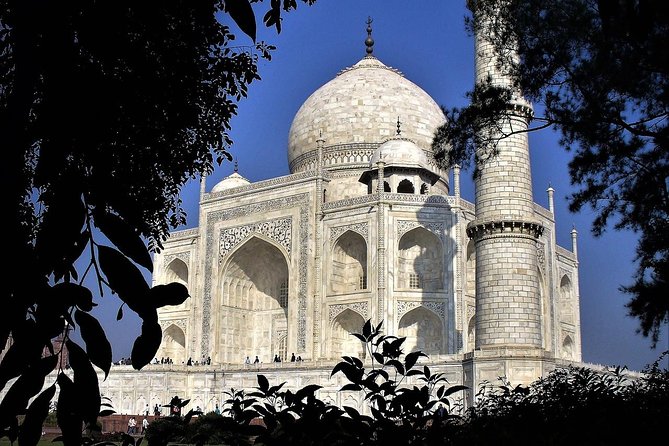 6 Days Golden Triangle Tour With Pushkar From Delhi - Booking Information