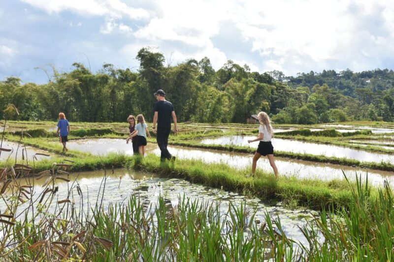 6 Days in Flores - Booking Information