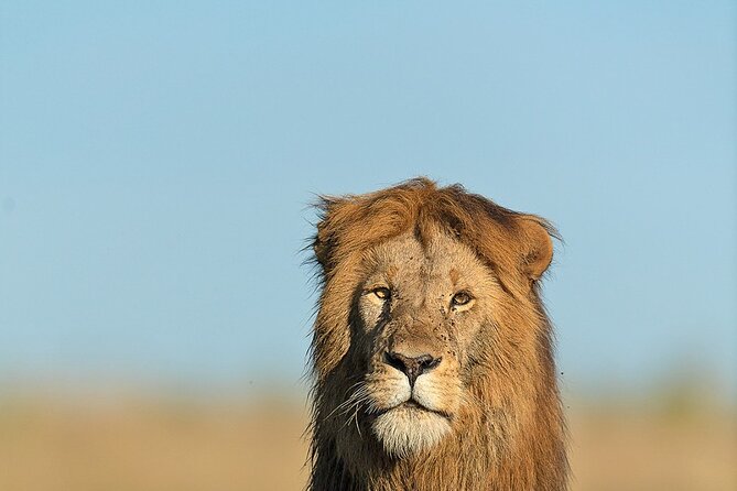 6 Days Kenya Adventure Wildlife Safari - Accommodations and Amenities