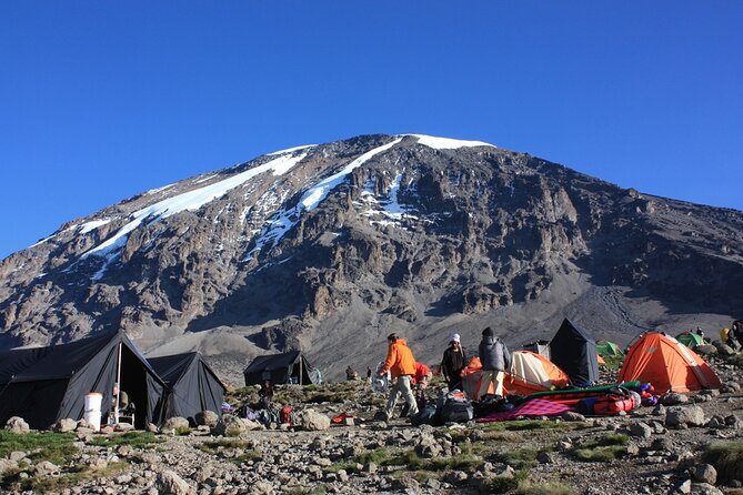 6 Days Marangu Route Mount Kilimanjaro Climb - Meeting and Pickup